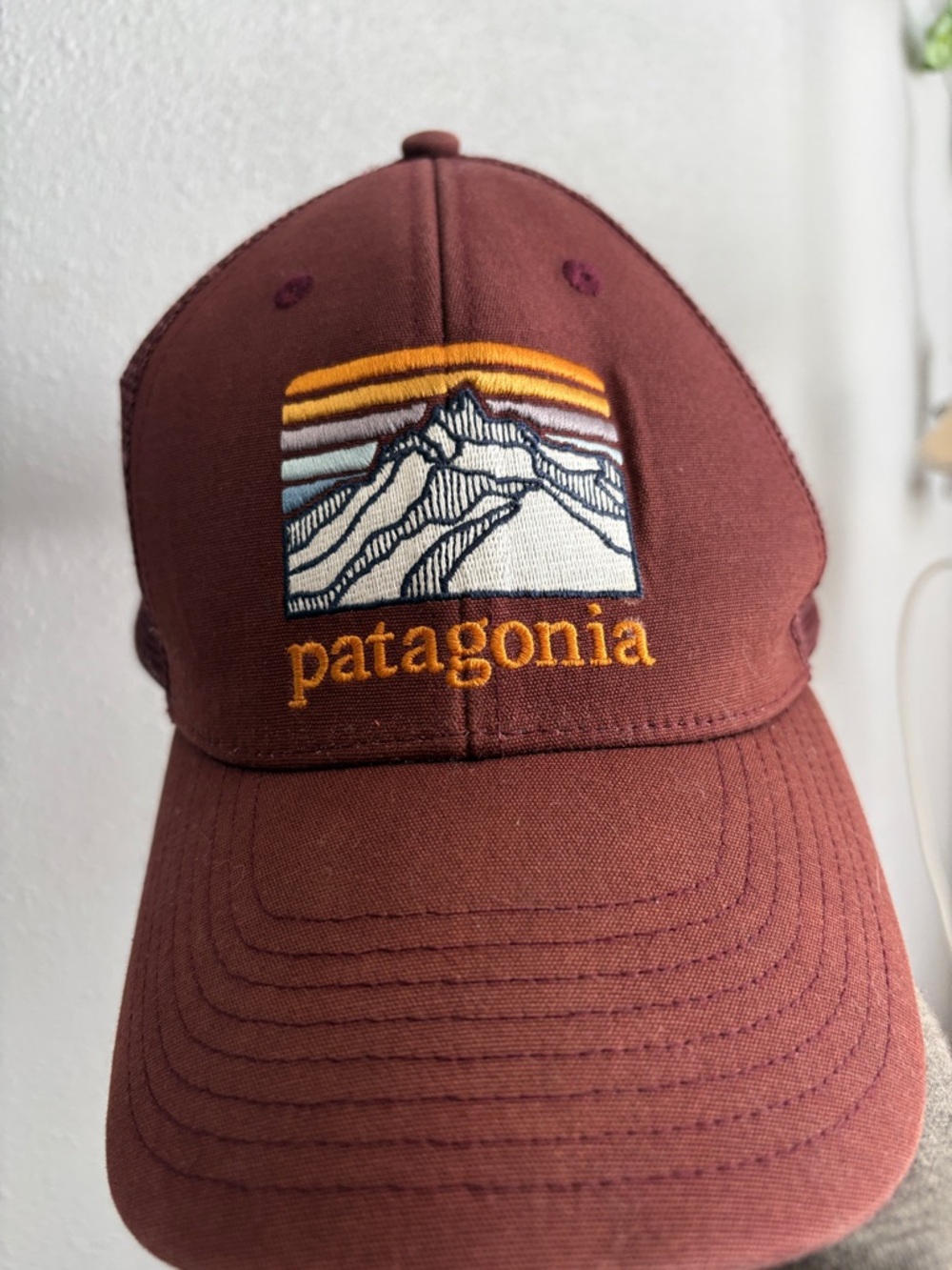 Patagonia Maroon Mountain Logo Trucker Hat